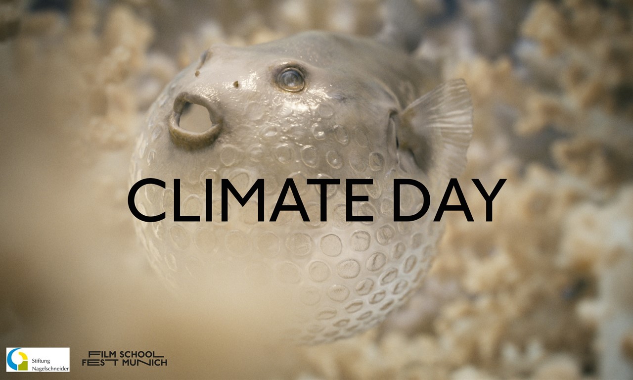 Climate Day + 20 Years of Nagelschneider Foundation